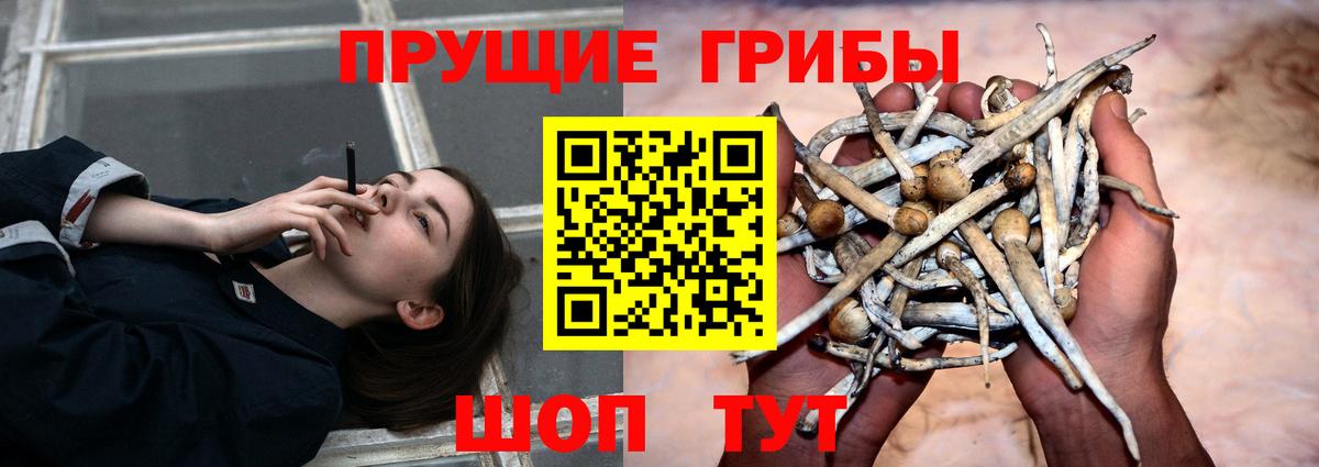 Лянтор  Галлюциногенные грибы GOLDEN TEACHER  Вход с VPN 